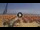 Webcam in Pinarella di Cervia, 5.5 km