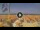 Webcam in Pinarella di Cervia, 4.7 mi away
