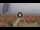 Webcam in Pinarella di Cervia, 2 mi away