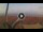 Webcam in Pinarella di Cervia, 1.9 mi away