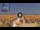 Webcam in Pinarella di Cervia, 1.9 mi away