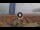 Webcam in Pinarella di Cervia, 5.5 km