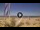 Webcam in Pinarella di Cervia, 5.5 km