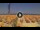 Webcam in Pinarella di Cervia, 1.2 mi away