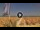 Webcam in Pinarella di Cervia, 5.2 km entfernt