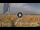 Webcam in Pinarella di Cervia, 0.2 km entfernt