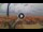 Webcam in Pinarella di Cervia, 4.9 km