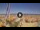 Webcam in Pinarella di Cervia, 8.3 mi away