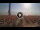 Webcam in Pinarella di Cervia, 6 mi away