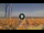 Webcam in Pinarella di Cervia, 1.9 mi away