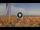 Webcam in Pinarella di Cervia, 1.9 mi away