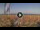 Webcam in Pinarella di Cervia, 5.5 km