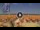 Webcam in Pinarella di Cervia, 15.7 km entfernt