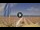 Webcam in Pinarella di Cervia, 1.7 mi away