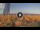 Webcam in Pinarella di Cervia, 0.7 mi away