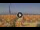 Webcam in Pinarella di Cervia, 5.5 km