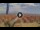 Webcam in Pinarella di Cervia, 0.3 mi away