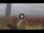 Webcam in Pinarella di Cervia, 5.5 km