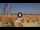 Webcam in Pinarella di Cervia, 2.1 mi away