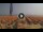 Webcam in Pinarella di Cervia, 6.1 mi away