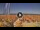Webcam in Pinarella di Cervia, 1.9 mi away