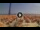 Webcam in Pinarella di Cervia, 4 mi away