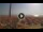 Webcam in Pinarella di Cervia, 5.1 km