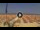 Webcam in Pinarella di Cervia, 0.7 km entfernt