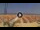 Webcam in Pinarella di Cervia, 15.5 km
