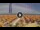 Webcam in Pinarella di Cervia, 8.3 mi away