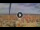 Webcam in Pinarella di Cervia, 0.7 mi away