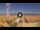 Webcam in Pinarella di Cervia, 4.9 km entfernt