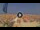 Webcam in Pinarella di Cervia, 5.1 km