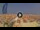 Webcam in Pinarella di Cervia, 5.2 km