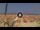 Webcam in Pinarella di Cervia, 0.2 km
