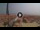 Webcam in Pinarella di Cervia, 4.8 km