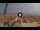 Webcam in Pinarella di Cervia, 0.9 km