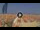 Webcam in Pinarella di Cervia, 7 km