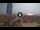 Webcam in Pinarella di Cervia, 5.5 km