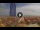 Webcam in Pinarella di Cervia, 4.7 mi away