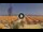 Webcam in Pinarella di Cervia, 0.7 km