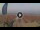Webcam in Pinarella di Cervia, 1.9 km