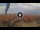Webcam in Pinarella di Cervia, 5.5 km