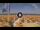 Webcam in Pinarella di Cervia, 0.7 km