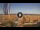 Webcam in Pinarella di Cervia, 6.1 mi away