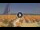 Webcam in Pinarella di Cervia, 21.4 km