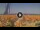 Webcam in Pinarella di Cervia, 0.2 km