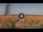 Webcam in Pinarella di Cervia, 1.4 km entfernt