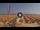 Webcam in Pinarella di Cervia, 2.1 mi away