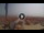 Webcam in Pinarella di Cervia, 4.9 km